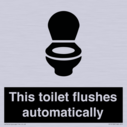 this-toilet-flushes-automatically~